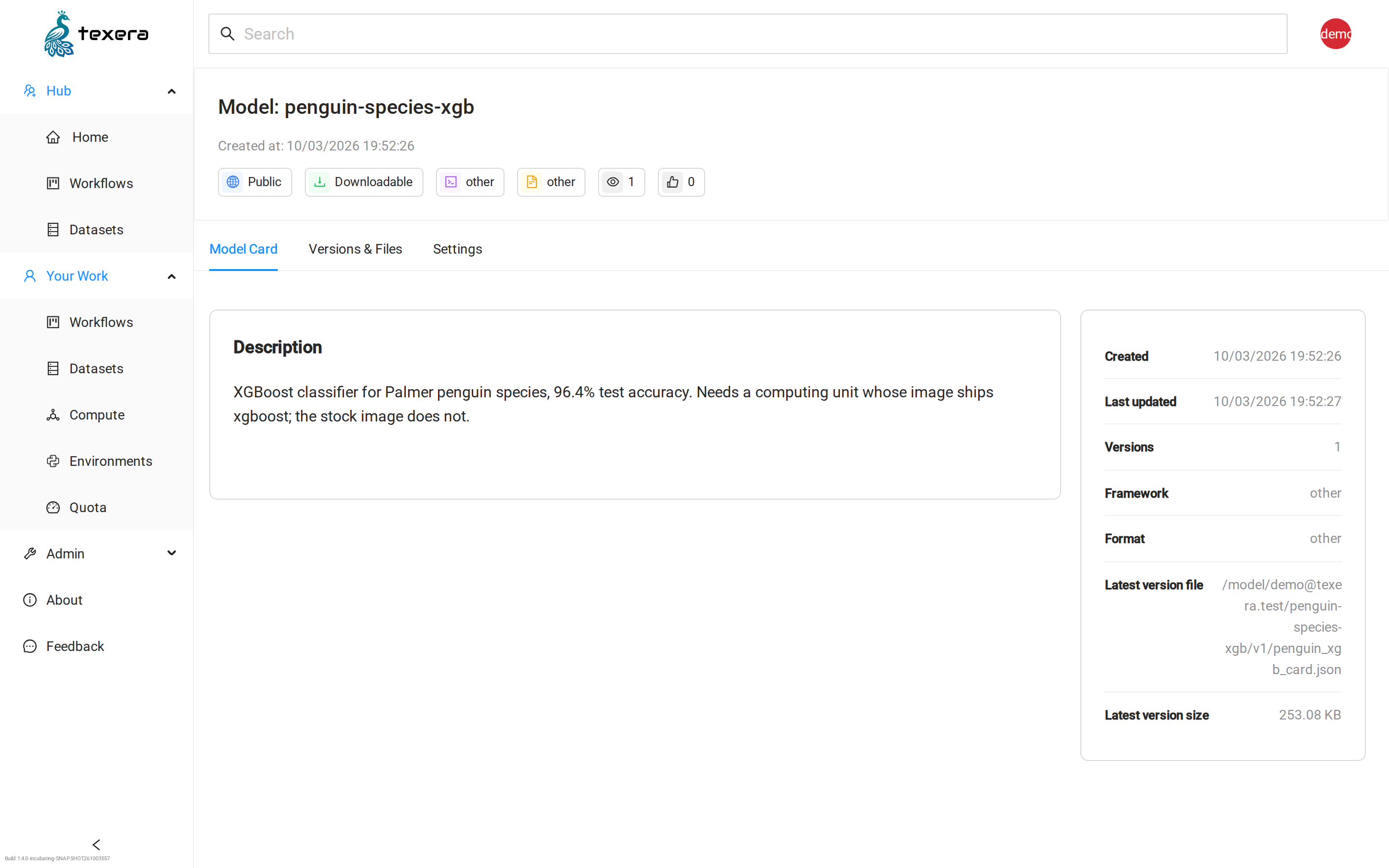 A model's page showing its description, public and downloadable tags, version count and the path to its latest version file